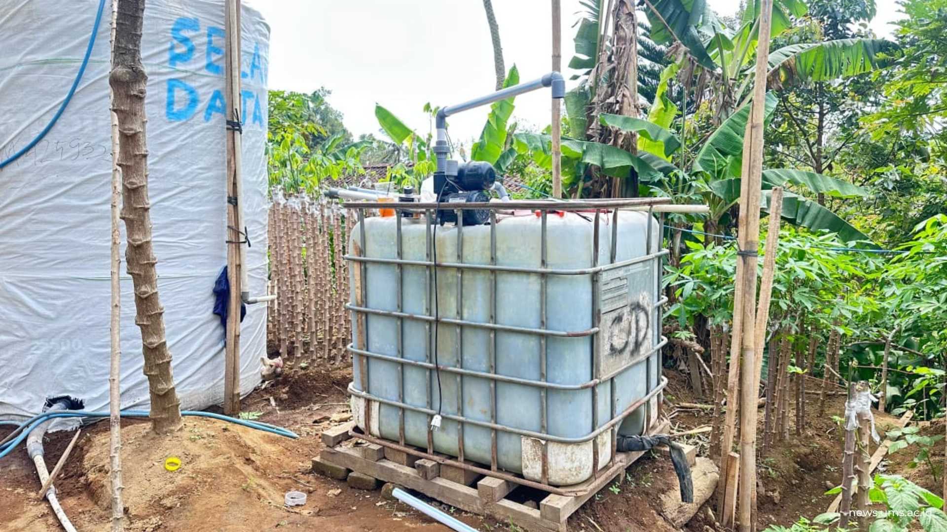 Instalasi sistem irigasi tetes untuk memberikan pasokan air