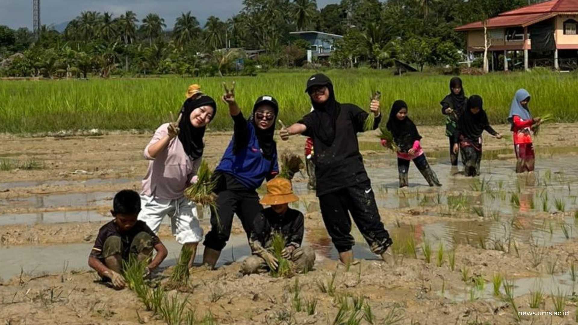 Mahasiswa UMS mendampingi siswa Yanyawit School pembelajaran diluar sekolah untuk menanam padi