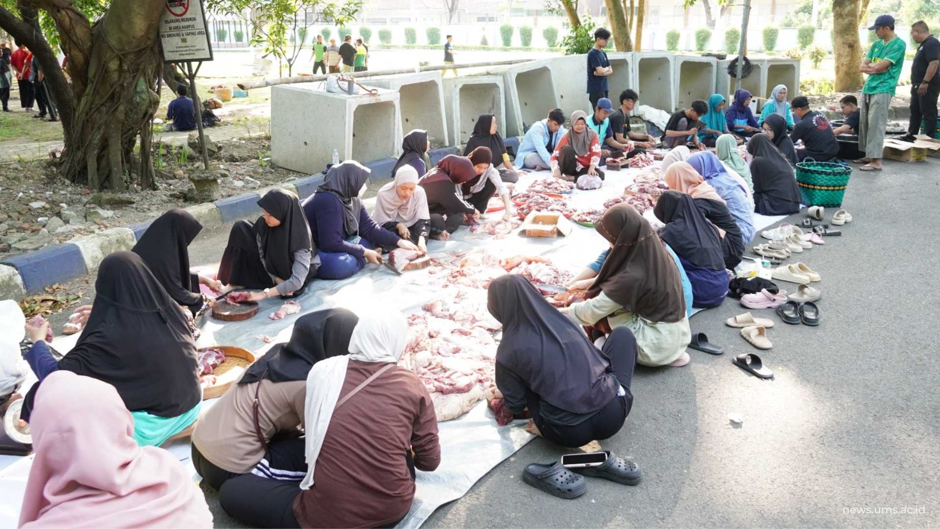 Relawan melakukan proses pemotongan daging hewan kurban di Lapangan Timur Masjid Hj. Sudalmiyah Rais, Kampus 2 UMS, Kamis, (28/5).