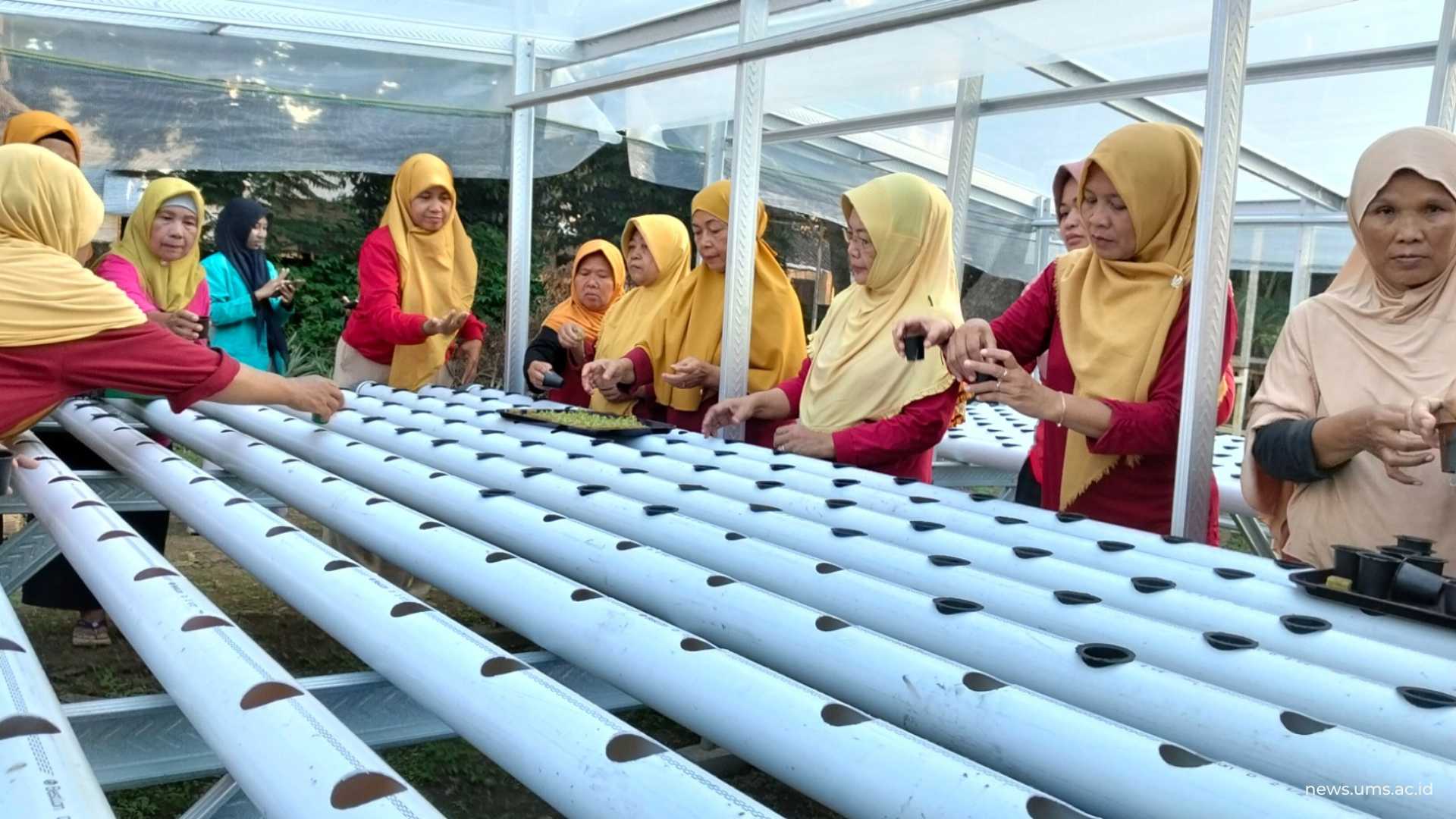 Berdayakan Kelompok Wanita Tani, Tim Pengabdian UMS Ajak Budidaya Sayuran Hidroponik