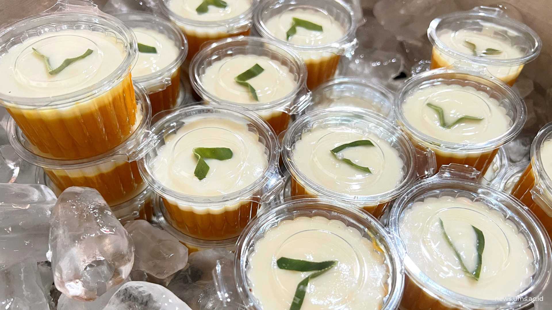 PULAFA : Pudding Labu Kuning dan Fla untuk mempertahankan daya tahan tubuh akibat Penyakit DBD dan Chikungunya